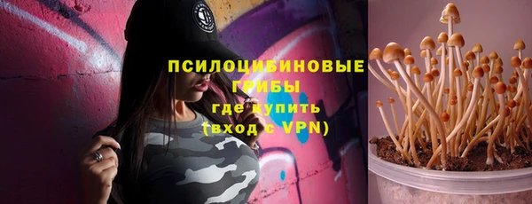 индика Кулебаки