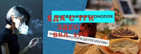 индика Кулебаки