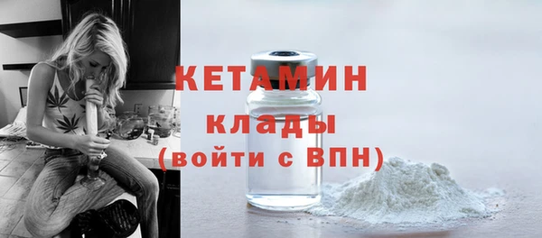 индика Кулебаки