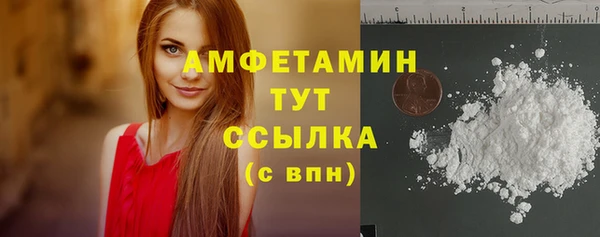 индика Кулебаки