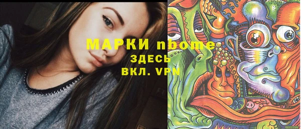 индика Кулебаки
