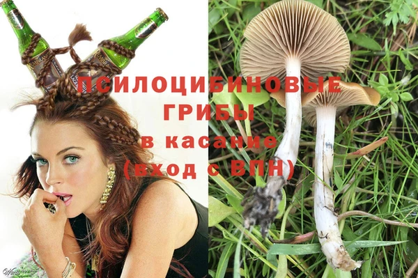 соль ск Кукмор