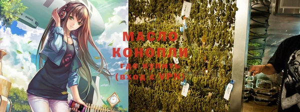 соль ск Кукмор
