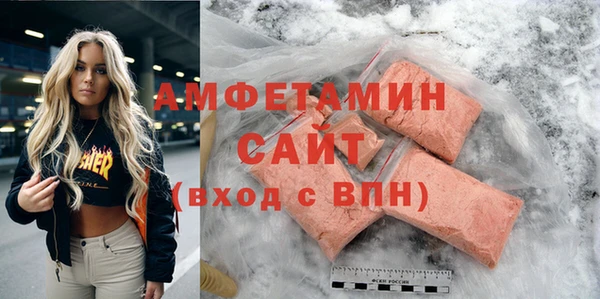индика Кулебаки