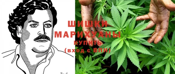 индика Кулебаки