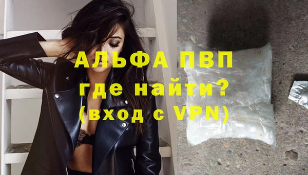 индика Кулебаки
