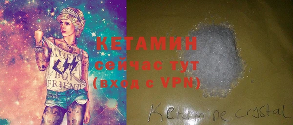 индика Кулебаки