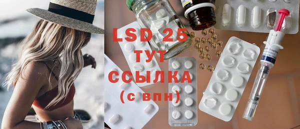 индика Кулебаки