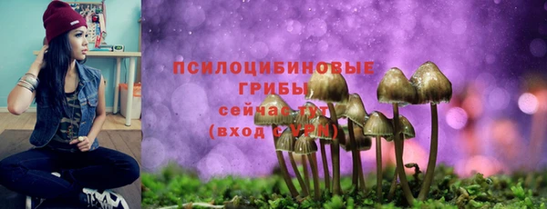 индика Кулебаки