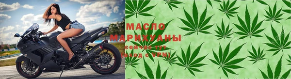 индика Кулебаки