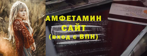 индика Кулебаки